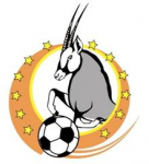 İzlanda Fotbolti.net Cup A
