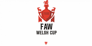 Galler Welsh Cup