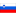 Slovenya U19