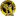 Paget Lions