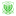Motema Pembe