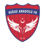 Niğde Anadolu