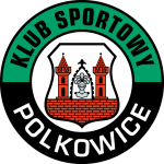 Gornik Polkowice