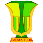 Atlético Palmaflor