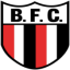 Botafogo SP B