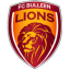 Bulleen Lions