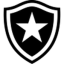 Botafogo U20