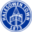 Halesowen Town