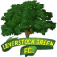 Leverstock Green