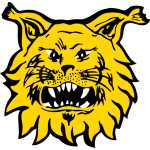 Ilves Ilves